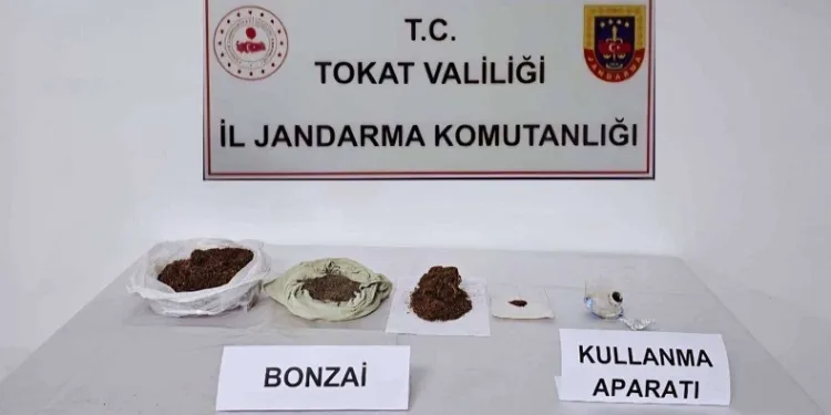 Tokat’ta uyuşturucu operasyonları