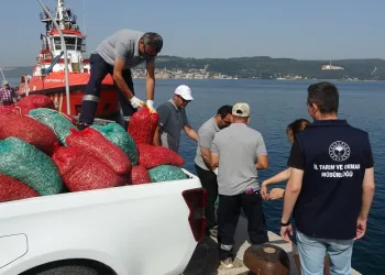 Çanakkale’de 3 ton kum şırlanı ele geçirildi