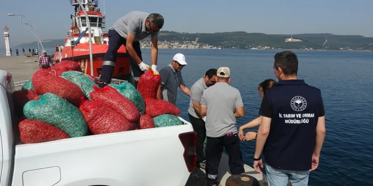 Çanakkale’de 3 ton kum şırlanı ele geçirildi