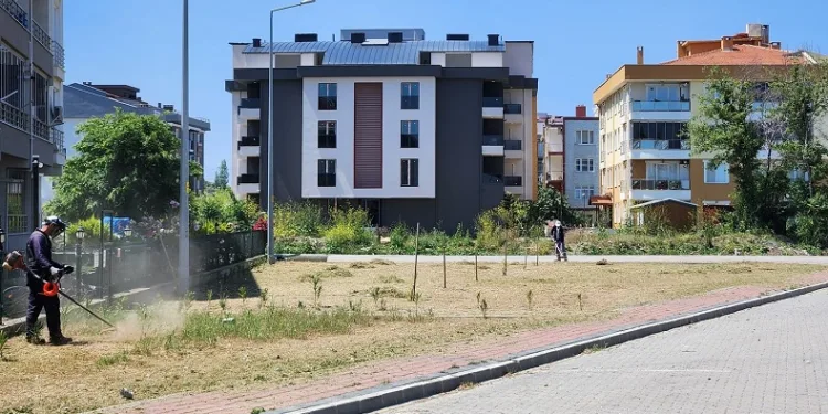 Lapseki’de yabani otlar temizleniyor