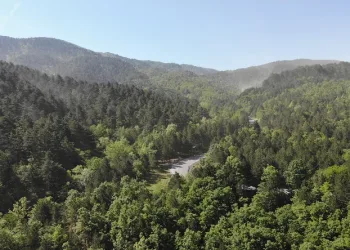 Balıkesir’de ormanlık alanlara giriş ve çıkışlar yasaklandı