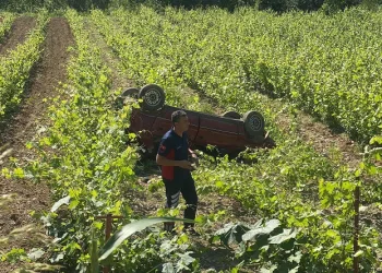 Direksiyon hakimiyetini kaybetti: Üzüm bağına devrildi