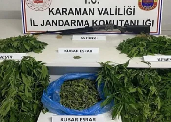 Karaman’da kenevir operasyonu