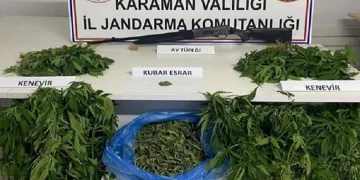 Karaman’da kenevir operasyonu