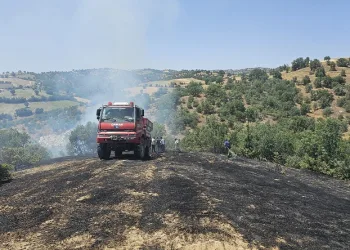 Güney’de orman yangını
