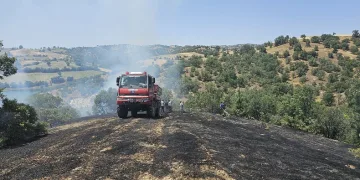 Güney’de orman yangını