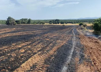 Çanakkale’de tarım alanında başlayan yangına havadan ve karadan müdahale ediliyor
