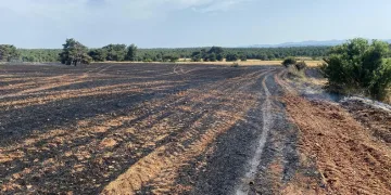 Çanakkale’de tarım alanında başlayan yangına havadan ve karadan müdahale ediliyor
