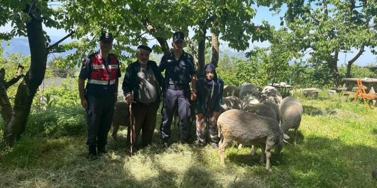 Bursa’da kaybolan 16 küçükbaş hayvanı jandarma ekipleri buldu