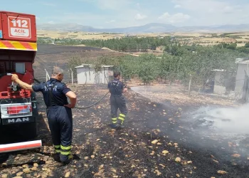 Anız yangını bahçeye sıçradı