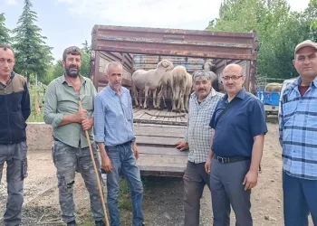 Afyonkarahisar’da canlı hayvan taşımacılığına yönelik denetim
