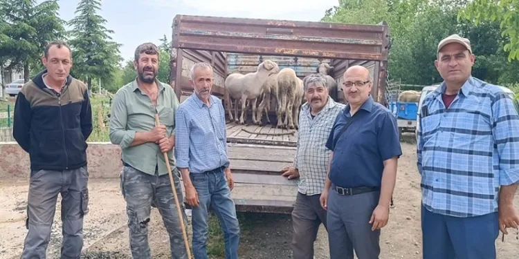 Afyonkarahisar’da canlı hayvan taşımacılığına yönelik denetim