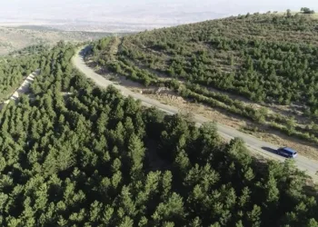 Kırıkkale’de ormanlık alanlara giriş yasağı
