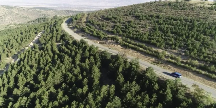 Kırıkkale’de ormanlık alanlara giriş yasağı