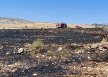100 dönümlük arpa ekili alan yandı