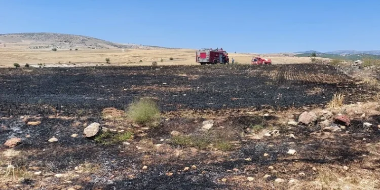100 dönümlük arpa ekili alan yandı