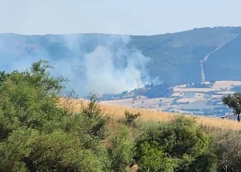 Balıkesir’de orman yangını