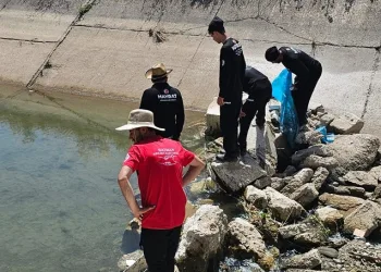 Batman’da 54 kilometre alan tarandı, 4 gündür kayıp çobandan iz yok