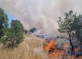 Ormanlık alanı tehdit eden yangına anında müdahale