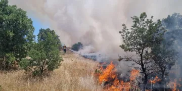Ormanlık alanı tehdit eden yangına anında müdahale