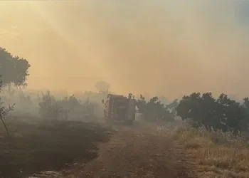 Gaziantep’te korkutan orman yangını