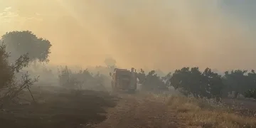 Gaziantep’te korkutan orman yangını