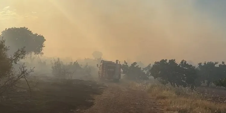 Gaziantep’te korkutan orman yangını