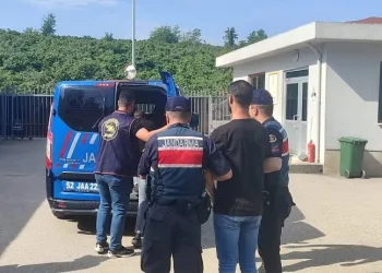 Ordu’da patpat hırsızları yakalandı