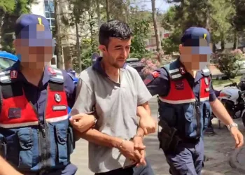 Baba cinayetinde şok eden detaylar