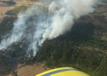 Bayramiç’te orman yangını