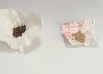 Keşan’da uyuşturucu ile yakalanan 3 şüpheli gözaltına alındı