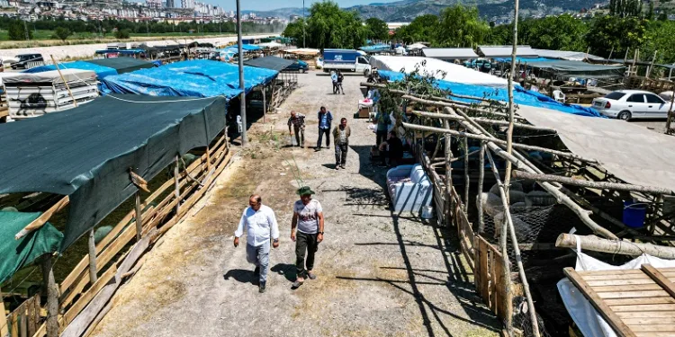 Bağışlar arttı, kurban pazarı boş kaldı
