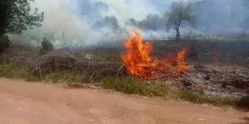 Ormanlık alanda çıkan yangın büyümeden söndürüldü