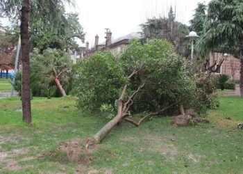 Manisa’ya kuvvetli rüzgar uyarısı