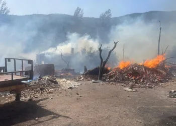 Köyde çıkan yangında 10 ev alevlere teslim oldu