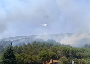 Bornova’daki orman yangını kontrol altına alındı