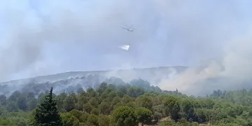 Bornova’daki orman yangını kontrol altına alındı