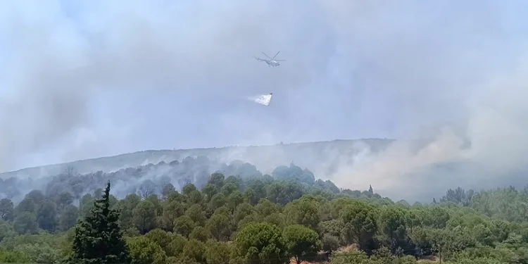 Bornova’daki orman yangını kontrol altına alındı