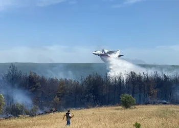 Eceabat’taki orman yangını devam ediyor
