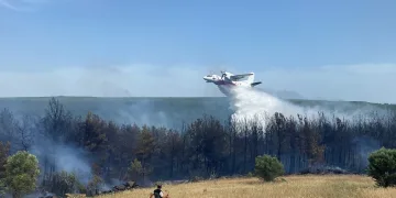 Eceabat’taki orman yangını devam ediyor