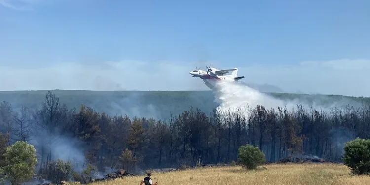 Eceabat’taki orman yangını devam ediyor