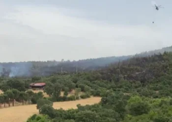 İvrindi’de orman yangını