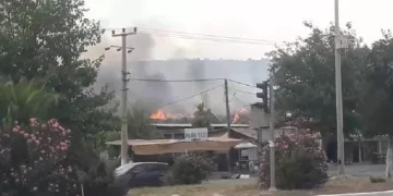 Didim’de zirai ve makilik alandaki yangını söndürme çalışmaları sürüyor