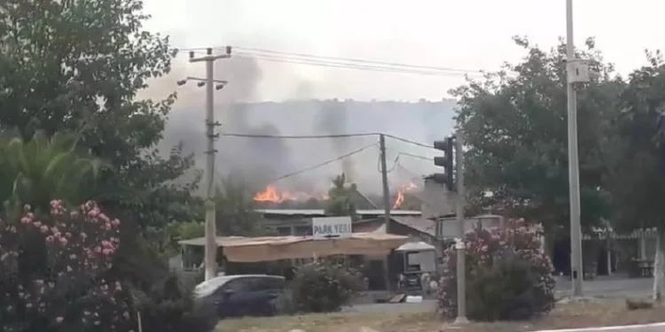 Didim’de zirai ve makilik alandaki yangını söndürme çalışmaları sürüyor