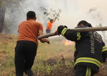 Denizli’de yıldırım düşmesi sonucu pek çok noktada başlayan yangınlar devam ediyo
