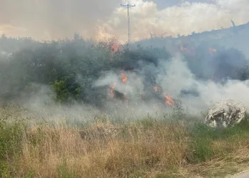 Denizli’de 1 günde 10 orman yangını çıktı