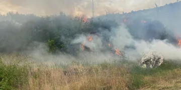 Denizli’de 1 günde 10 orman yangını çıktı