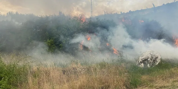 Denizli’de 1 günde 10 orman yangını çıktı