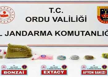 Ordu’da Jandarma KOM ekiplerinin 5 aylık faaliyeti açıklandı: 13 tutuklama