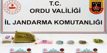 Ordu’da Jandarma KOM ekiplerinin 5 aylık faaliyeti açıklandı: 13 tutuklama